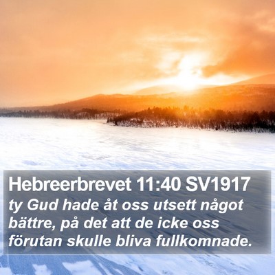 Hebreerbrevet 11:40 SV1917 Bible Verse Image