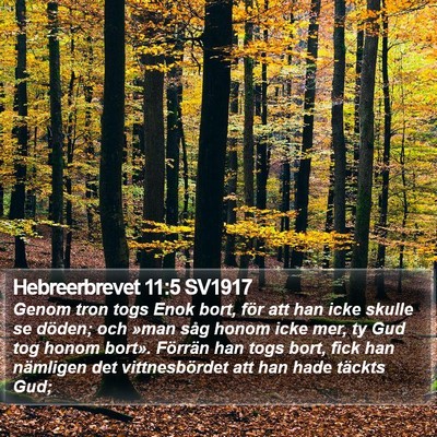 Hebreerbrevet 11:5 SV1917 Bible Verse Image