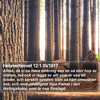 Hebreerbrevet 12:1 SV1917 Bible Verse Image