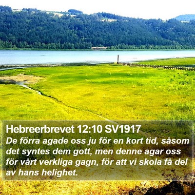 Hebreerbrevet 12:10 SV1917 Bible Verse Image