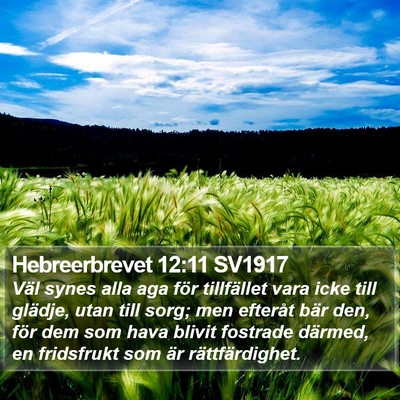 Hebreerbrevet 12:11 SV1917 Bible Verse Image