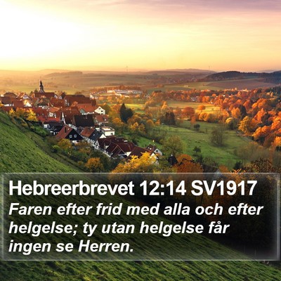 Hebreerbrevet 12:14 SV1917 Bible Verse Image