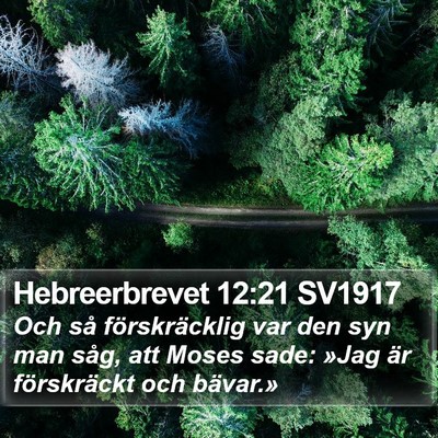 Hebreerbrevet 12:21 SV1917 Bible Verse Image