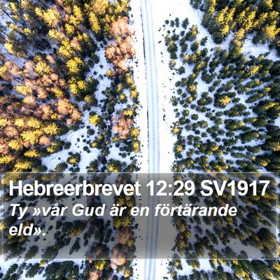 Hebreerbrevet 12:29 SV1917 Bible Verse Image