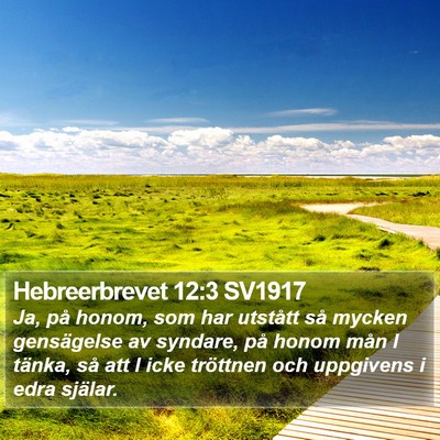 Hebreerbrevet 12:3 SV1917 Bible Verse Image