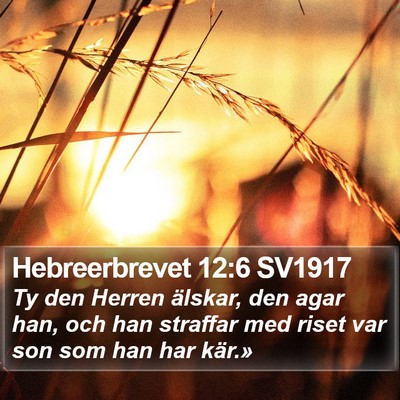 Hebreerbrevet 12:6 SV1917 Bible Verse Image
