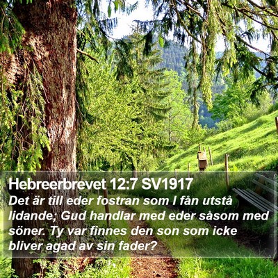 Hebreerbrevet 12:7 SV1917 Bible Verse Image