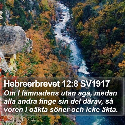 Hebreerbrevet 12:8 SV1917 Bible Verse Image