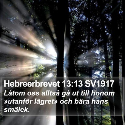 Hebreerbrevet 13:13 SV1917 Bible Verse Image