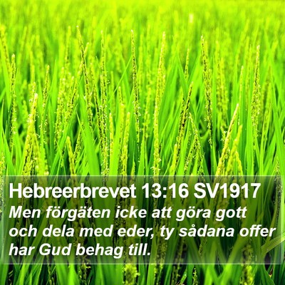 Hebreerbrevet 13:16 SV1917 Bible Verse Image
