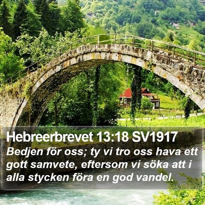 Hebreerbrevet 13:18 SV1917 Bible Verse Image