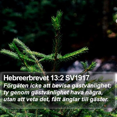 Hebreerbrevet 13:2 SV1917 Bible Verse Image