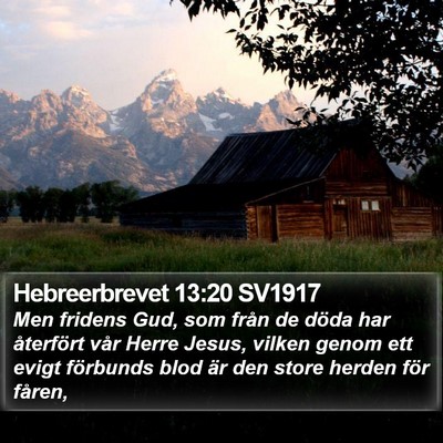 Hebreerbrevet 13:20 SV1917 Bible Verse Image
