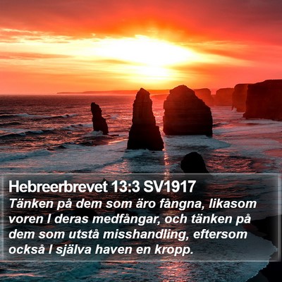 Hebreerbrevet 13:3 SV1917 Bible Verse Image