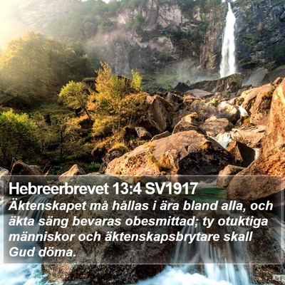 Hebreerbrevet 13:4 SV1917 Bible Verse Image