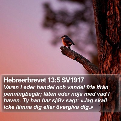 Hebreerbrevet 13:5 SV1917 Bible Verse Image