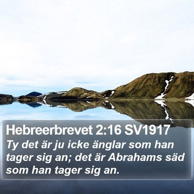 Hebreerbrevet 2:16 SV1917 Bible Verse Image