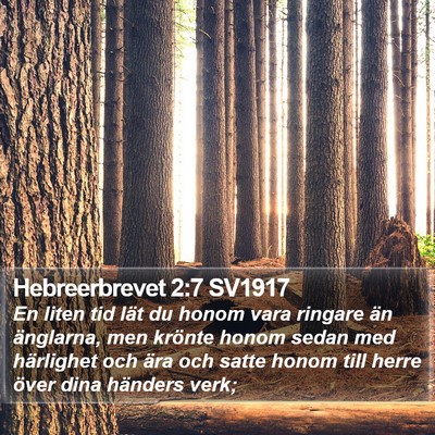 Hebreerbrevet 2:7 SV1917 Bible Verse Image