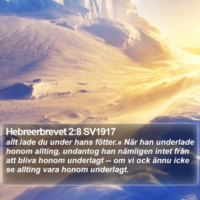 Hebreerbrevet 2:8 SV1917 Bible Verse Image