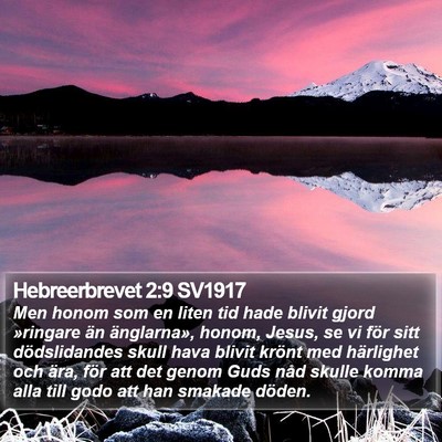 Hebreerbrevet 2:9 SV1917 Bible Verse Image