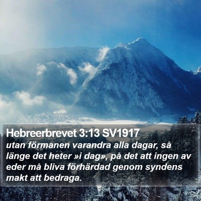 Hebreerbrevet 3:13 SV1917 Bible Verse Image