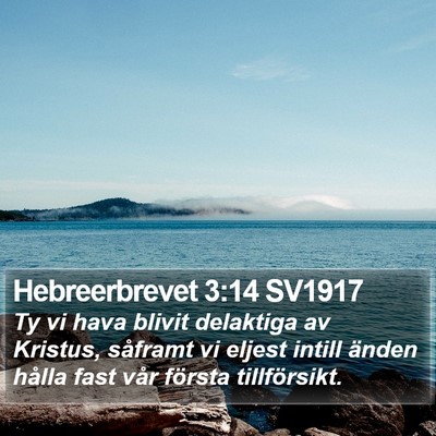 Hebreerbrevet 3:14 SV1917 Bible Verse Image