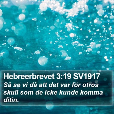 Hebreerbrevet 3:19 SV1917 Bible Verse Image