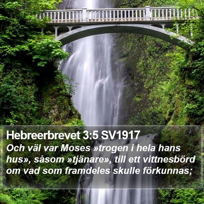 Hebreerbrevet 3:5 SV1917 Bible Verse Image
