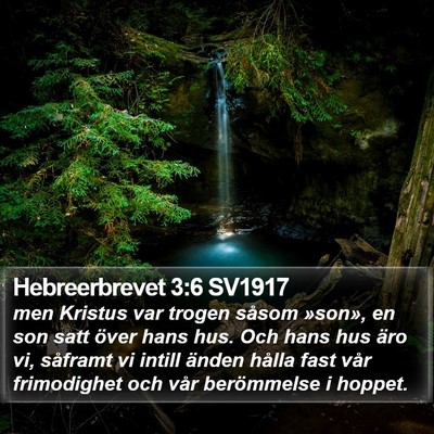 Hebreerbrevet 3:6 SV1917 Bible Verse Image