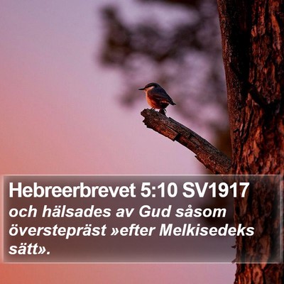 Hebreerbrevet 5:10 SV1917 Bible Verse Image