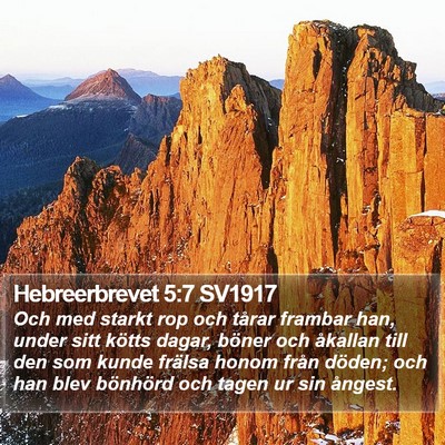 Hebreerbrevet 5:7 SV1917 Bible Verse Image