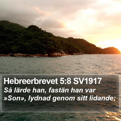 Hebreerbrevet 5:8 SV1917 Bible Verse Image