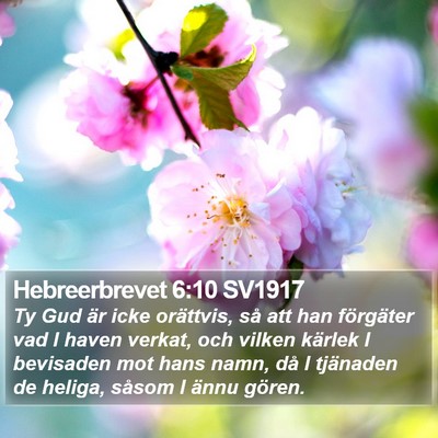 Hebreerbrevet 6:10 SV1917 Bible Verse Image