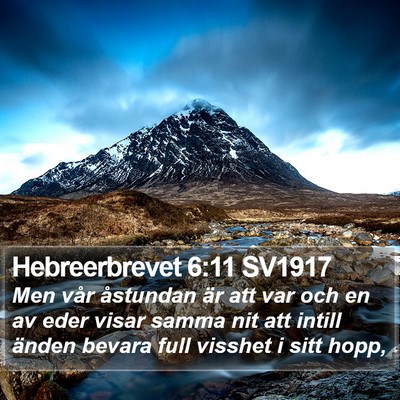 Hebreerbrevet 6:11 SV1917 Bible Verse Image