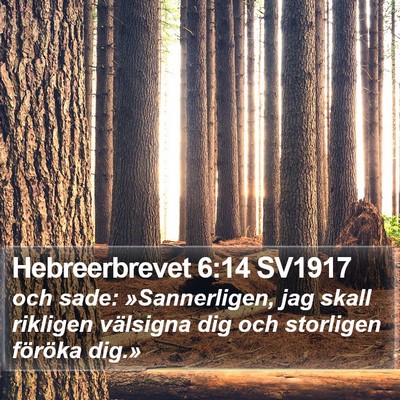 Hebreerbrevet 6:14 SV1917 Bible Verse Image