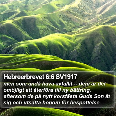 Hebreerbrevet 6:6 SV1917 Bible Verse Image