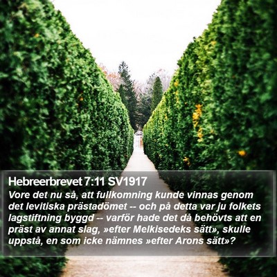 Hebreerbrevet 7:11 SV1917 Bible Verse Image