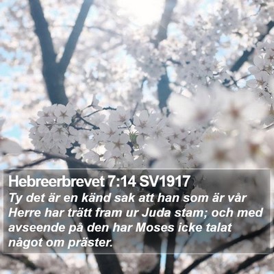 Hebreerbrevet 7:14 SV1917 Bible Verse Image