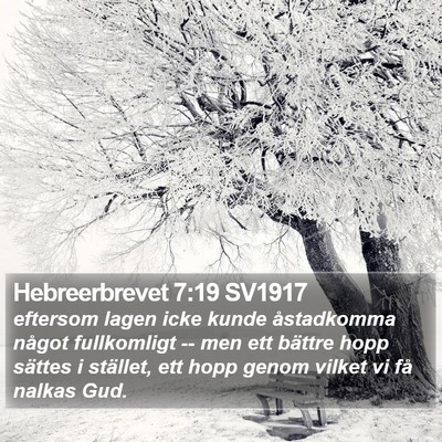 Hebreerbrevet 7:19 SV1917 Bible Verse Image
