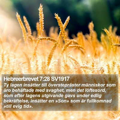 Hebreerbrevet 7:28 SV1917 Bible Verse Image