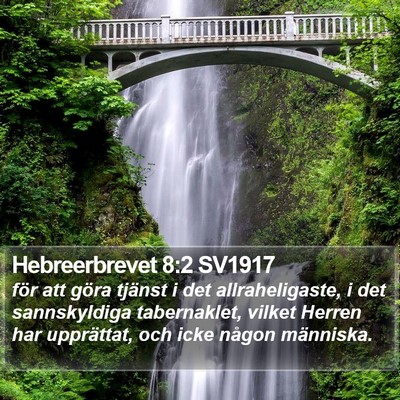 Hebreerbrevet 8:2 SV1917 Bible Verse Image