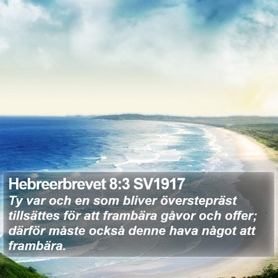 Hebreerbrevet 8:3 SV1917 Bible Verse Image