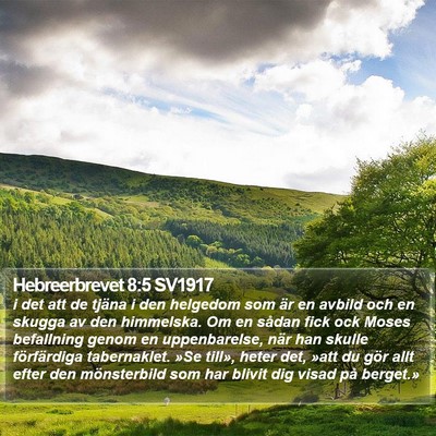 Hebreerbrevet 8:5 SV1917 Bible Verse Image