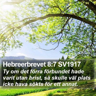 Hebreerbrevet 8:7 SV1917 Bible Verse Image