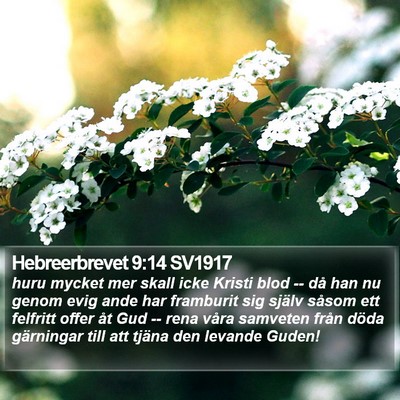 Hebreerbrevet 9:14 SV1917 Bible Verse Image