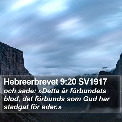 Hebreerbrevet 9:20 SV1917 Bible Verse Image