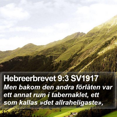 Hebreerbrevet 9:3 SV1917 Bible Verse Image