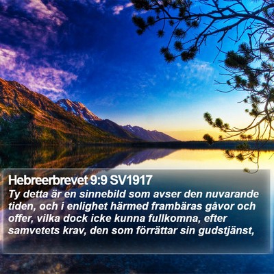 Hebreerbrevet 9:9 SV1917 Bible Verse Image