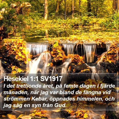 Hesekiel 1:1 SV1917 Bible Verse Image