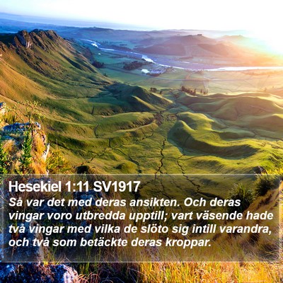 Hesekiel 1:11 SV1917 Bible Verse Image